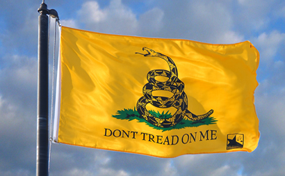 USCA Gadsden Flag