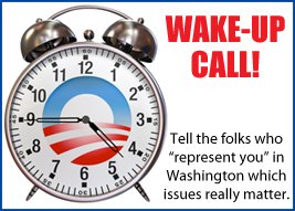 Wake Up Survey